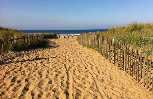 Sea Activities Golden Sands Beach Relax - Foto 34