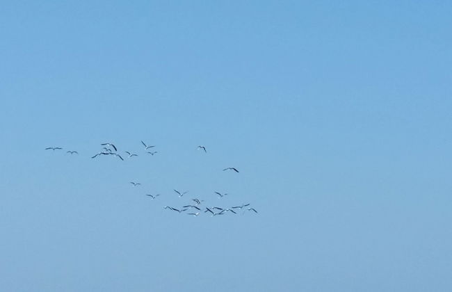 Casa vacanze Ludovica - Foto 23