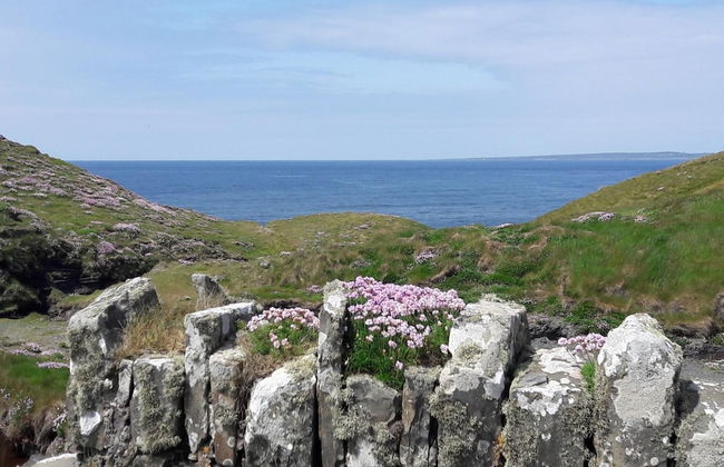 Cois na hAbhann B&B - Foto 30