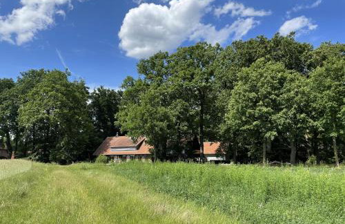 Atelier Tiedemann - Foto 3