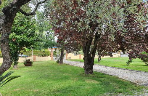 La casetta di Silvio - Foto 27