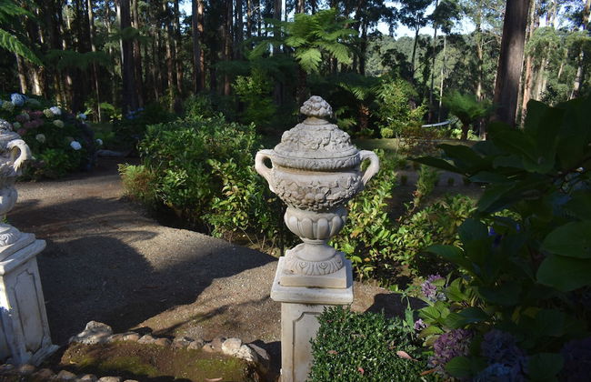 Fern Cottage at Fern Falls Cottages - Foto 13