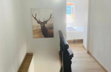 El Asturcon - Foto 7