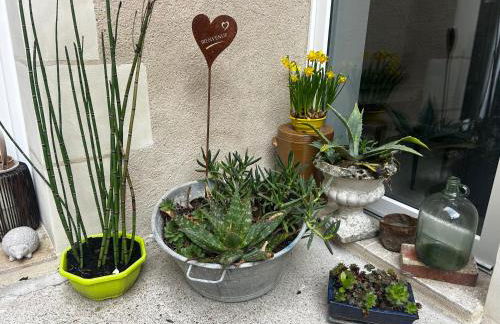 Studio cocooning - Foto 21