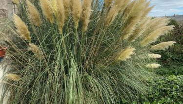 Gîte du Bois Pennier, au calme , à 15 km des plages du Débarquement - Foto 2