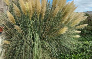 Gîte du Bois Pennier, au calme , à 15 km des plages du Débarquement - Foto 2