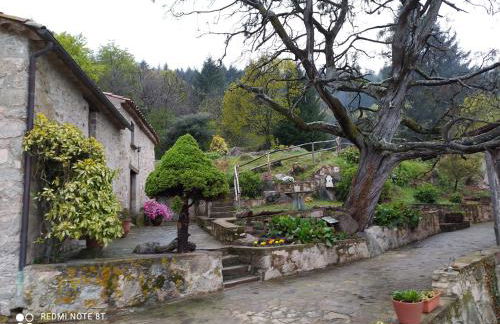 El Buxaus de la Muntanya - Foto 32