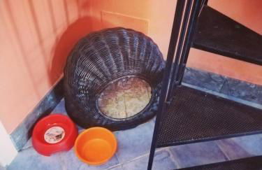 Dammuso SoleLuna. - Foto 30