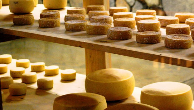 Wine and cheese route - Private Tour - Photo 2