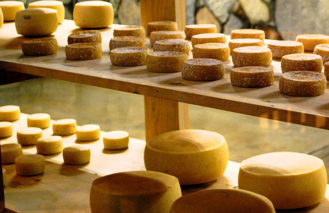 Wein- und Käseroute - Private Tour - Foto 2