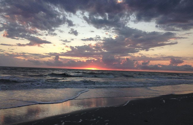 The Little Oasis Beach House - Photo 37