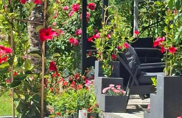 Marcowe Kąty-Przestrzeń na wypoczynek, odpocznij w ciszy i naturze, tylko 7 minut od Sandomierza - Foto 27