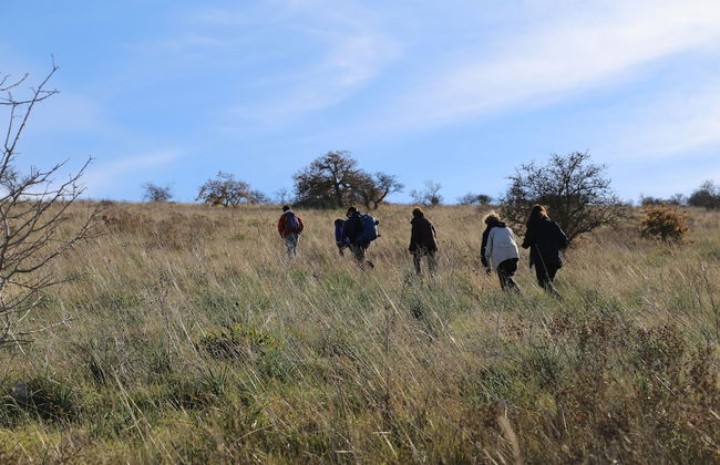 Lama di Luna Biomasseria - Foto 38