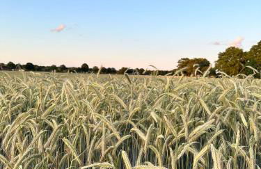 City-Apparte Boarding -Studios- Dein flexibles Zuhause in Gronau - Foto 47