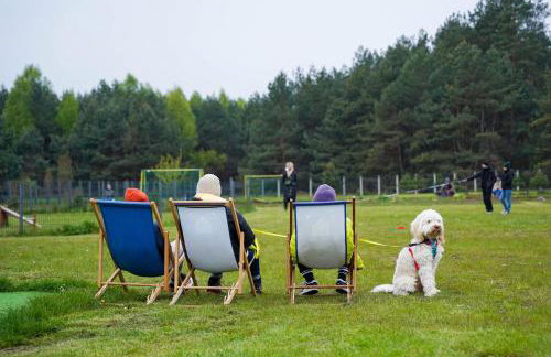 Moje Miejsce Jura - Foto 36