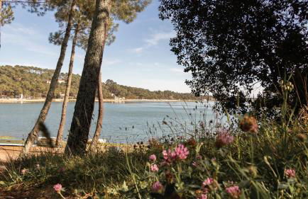 Résidence Hôtelière les Acanthes - Foto 17