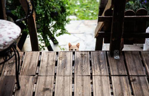 Beetle Villa retro country house - Foto 33