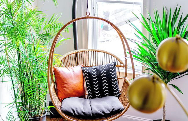 The Urbn Jungle - Photo 33