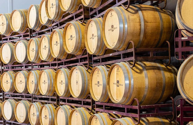 Bodegas Nodus Tour - Photo 6