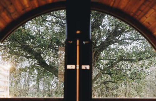 Nestledstays - The Oak - Photo 44