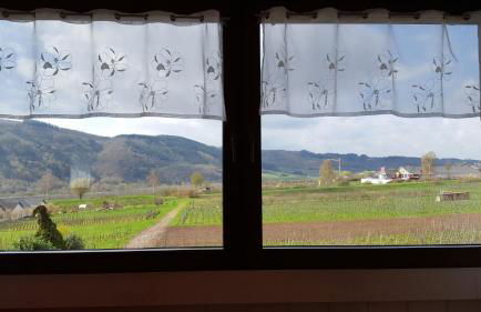 Ferienwohnungen Klaus u. Bärbel - Foto 22