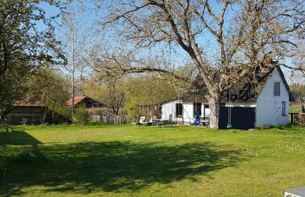 Ferienhaus Kunterbunt II - Foto 13