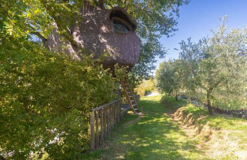 Odina Agriturismo - Foto 17