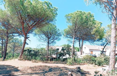 Purple House - Arboriamar Platamona - Photo 44