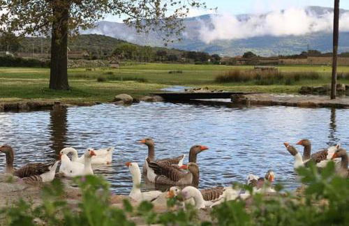 Tu Casa de Pueblo - Photo 6