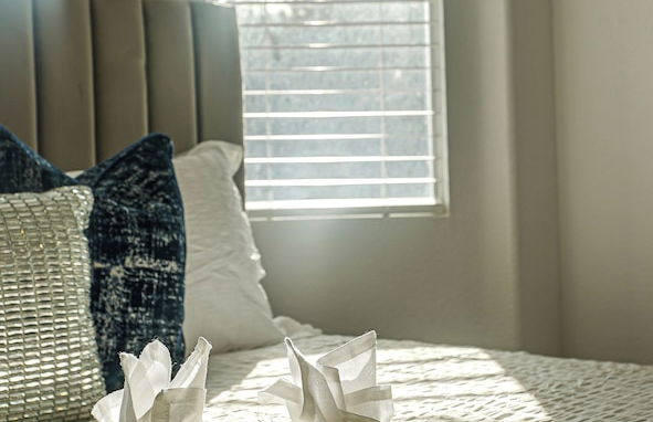 Windsor Phoenix - Foto 46