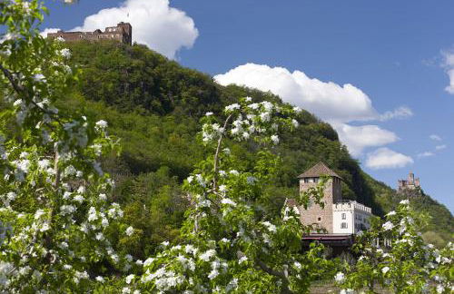 Lafoi - Apartments in Eppan - Photo 18