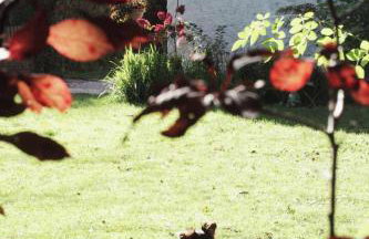 Czereśniowy Dom - Foto 29