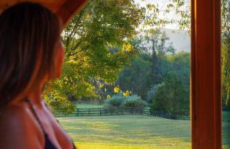 Mountain Mama Ranch - Luxury farmhouse on 200 acres with mountain views, 20mins to Shenandoah, 90mins from DC - Foto 51