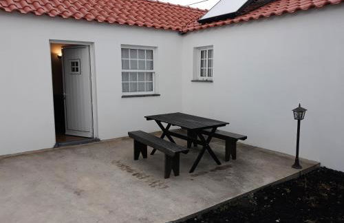 Casas do Verdelho - Photo 19