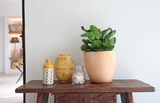 Aparthotel Niu d´Aus - Photo 29