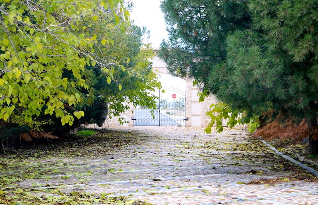 Complejo Rural Puente Romano - Foto 38