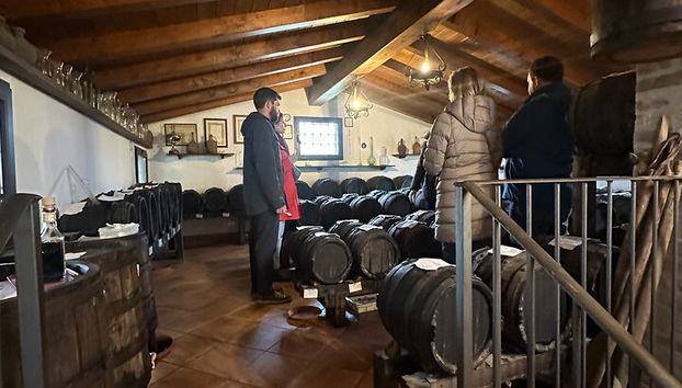 Bologna: Parmesan, Wine, Vinegar With Transfer And Lunch - Photo 3