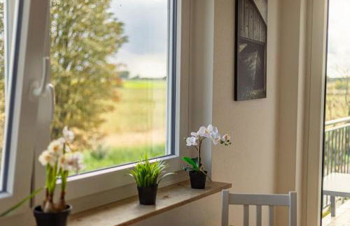 Pension Nickel Ferienwohnung DG Am Holzlachgraben - Foto 19