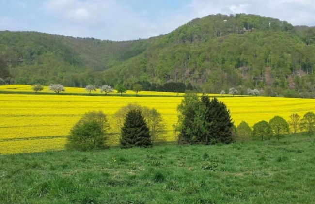 Quaint Apartment with Balcony in Bad Pyrmont near River - Foto 39