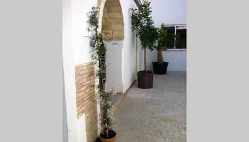 Casa Florinda #7 - Foto 5