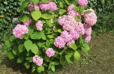 Le Monrepos avec bain nordique - Foto 6