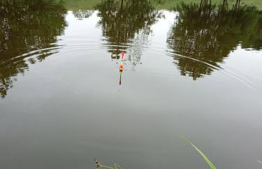 Sielanka na wzgórzu - Foto 23