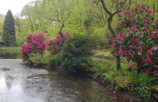 Davy Cottage in the Countryside With Horse Riding - Photo 23
