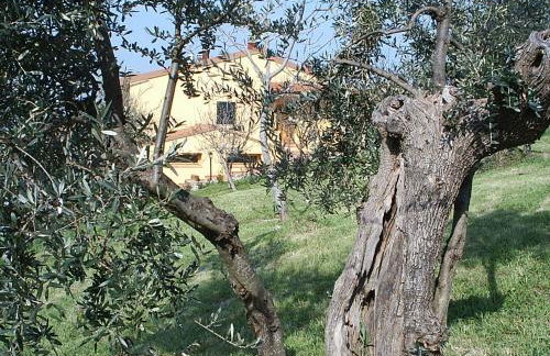 Agriturismo Il Gelso - Foto 83