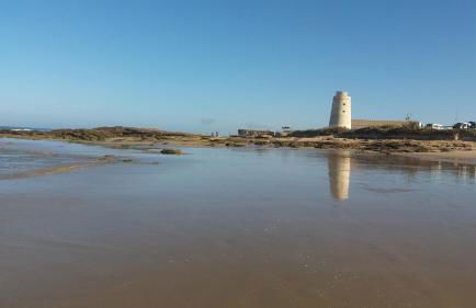 Casa Albahaca - Foto 28