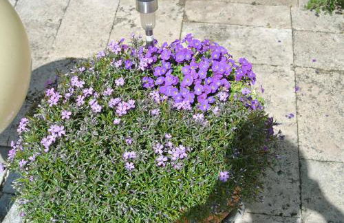 Ferienwohnung Finningen - Foto 23