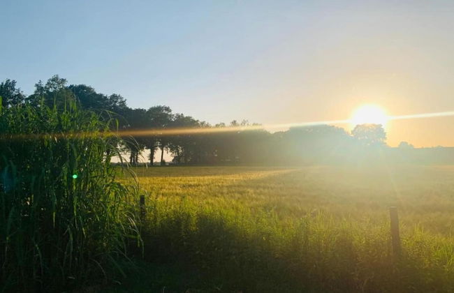 Cozy Holiday Home in a Lovely Environment - Photo 28