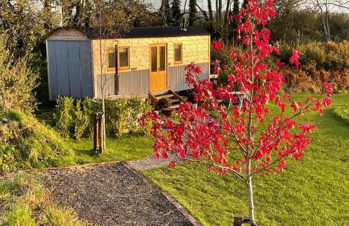 The Acorn - Luxury Shepherds Hut hot tub panoramic views - Foto 10