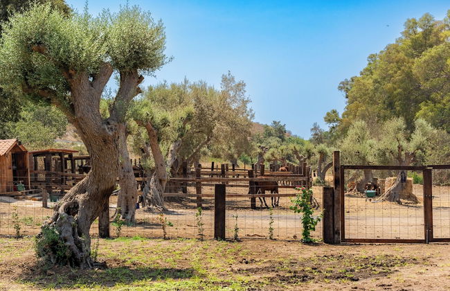 Sogno di Giove by Wonderful Italy - Foto 31