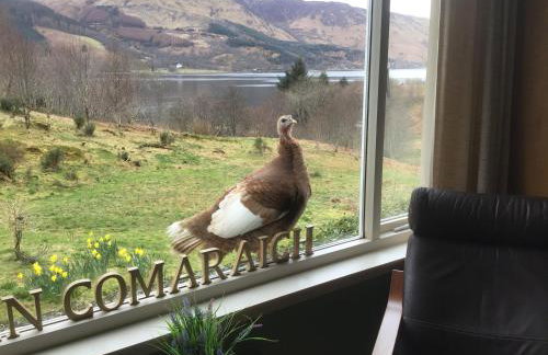 "An Comaraich - The Sanctuary" - Foto 43